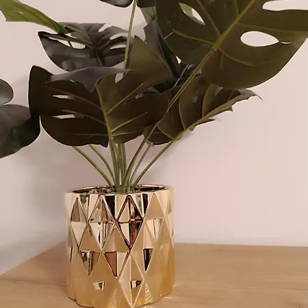 Magvel Gold 슈체친