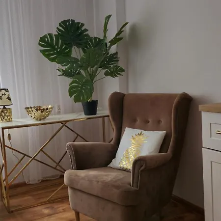Magvel Gold * Szczecin