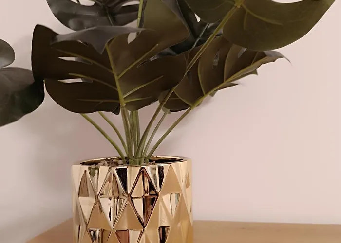 Magvel Gold Щецин